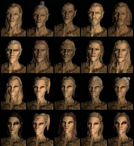 File:HighElfCompilation1-938x1024.jpg