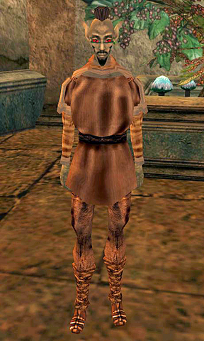File:Drulvan Rindo.png