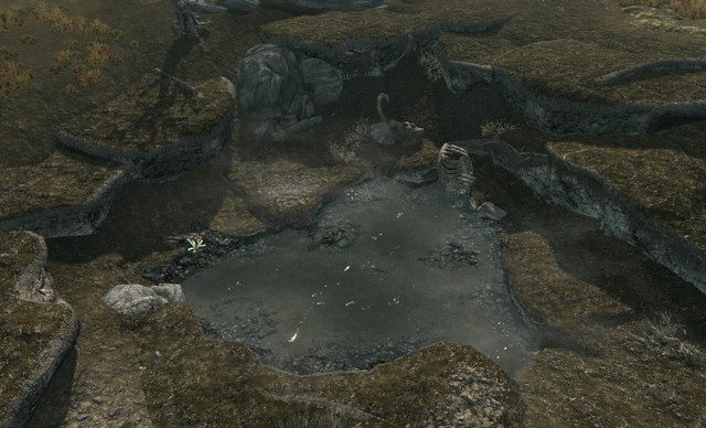 File:FetidPond.png