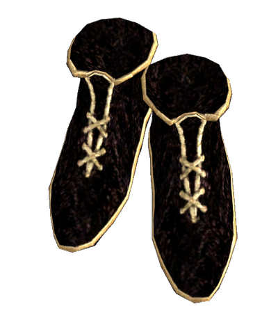 File:Gold Trimmed Shoes.png