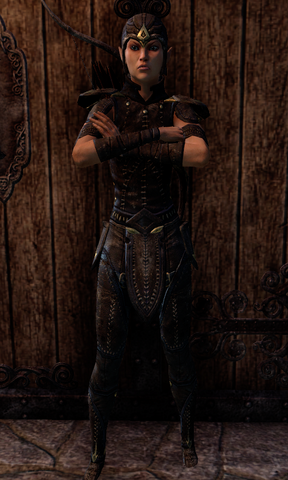 File:Soldier Garion.png