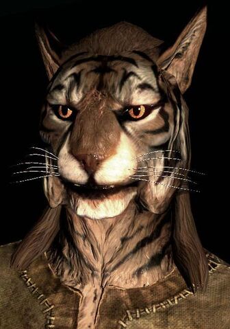 Dosya:SR-race-M-Khajiit.jpg