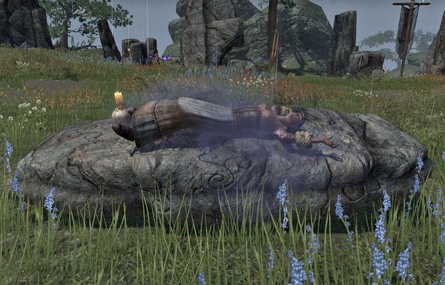 File:Rozenn's Dream.png