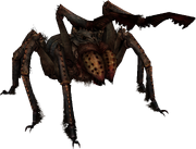 FrostbiteSpider.png
