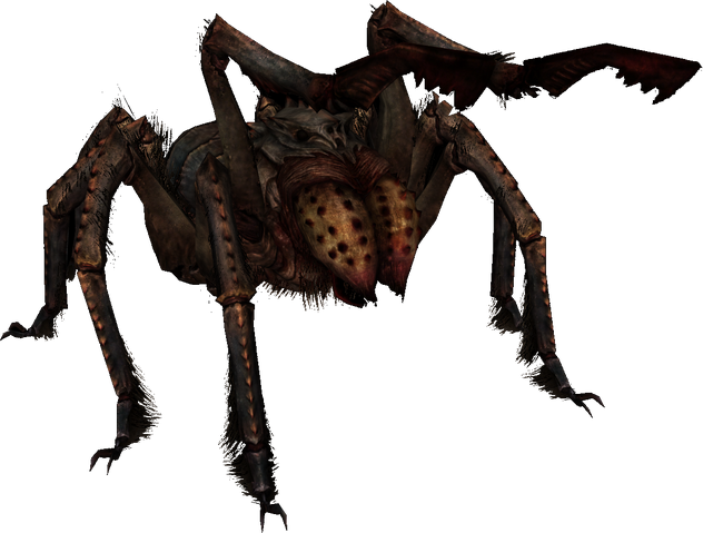 File:FrostbiteSpider.png