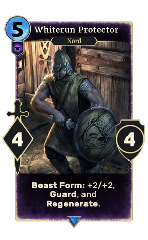 File:Whiterun Protector.png