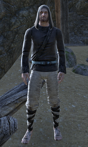 File:Brother Gaubert.png