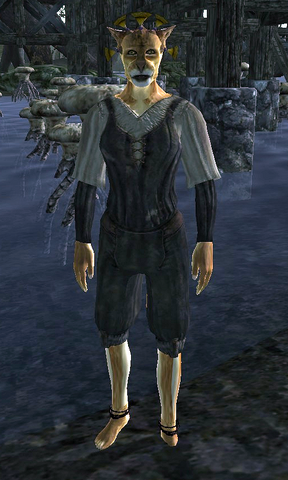 File:Kishashi.png