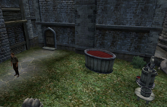 File:Surilie Brothers' House Backyard.png