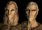 MER.png