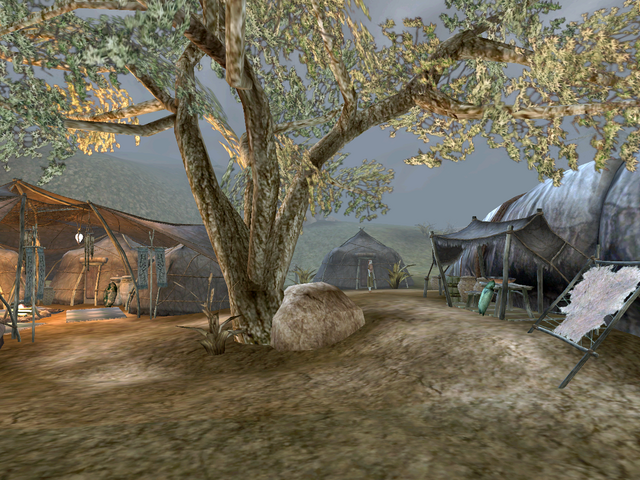 File:Zainab Camp Night.png