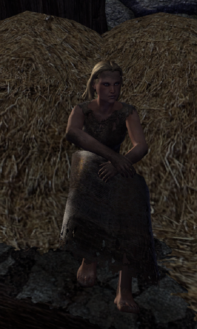 File:Fyrulde.png