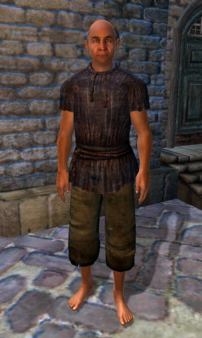 File:ImusTheDull.png