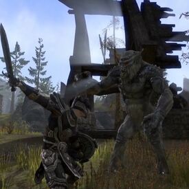 Nord Fighting a Troll