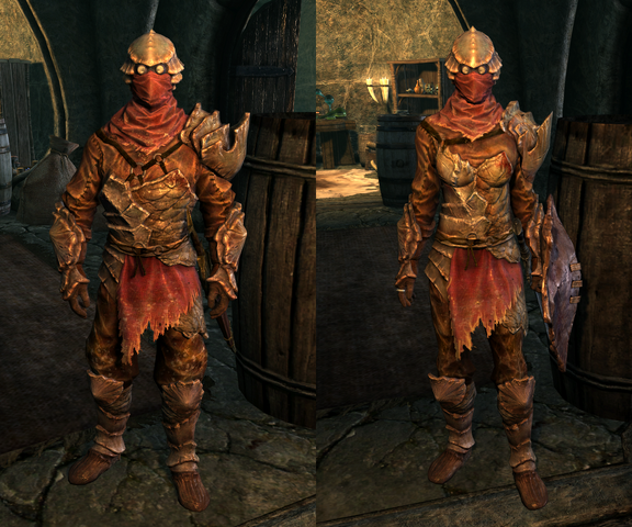 File:Chitin Armor - Both.png