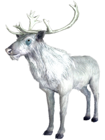 File:Prince of hunt.png