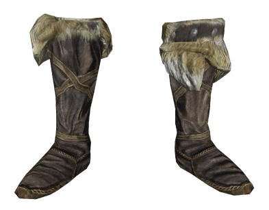 File:Hide boots.png