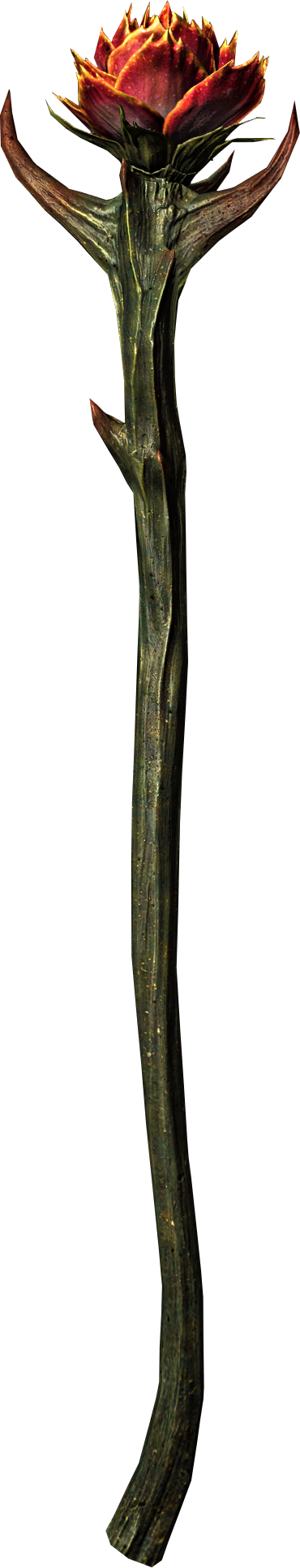 Related image