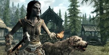 The-elder-scrolls-v-skyrim-screenshot-dog-640x325.jpg