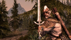 Bosmer1.jpg