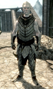 180px-Knight Paladin Gelebor.png