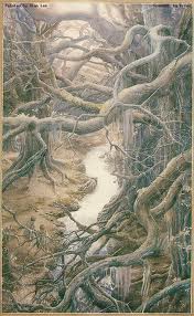 Fangorn1.jpg