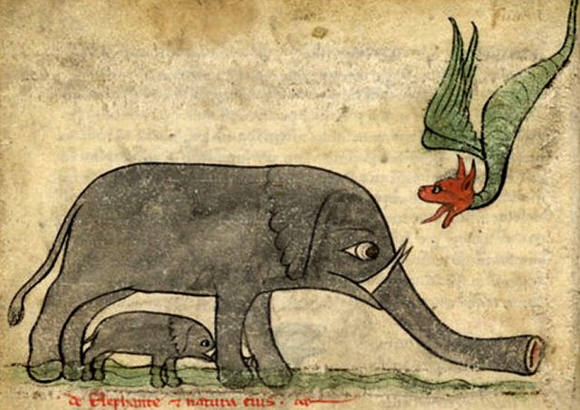 Datei:Elefant Geburt Bestiarium.jpg