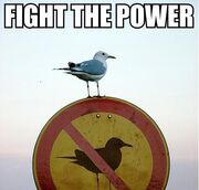 FightThePower