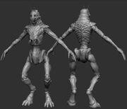 Prawn Render 06