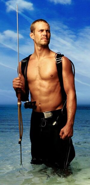 Paulwalker