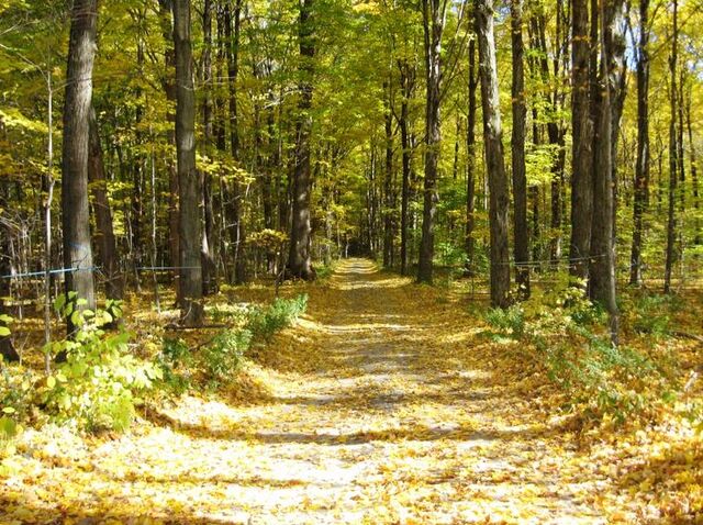 File:Road.jpeg