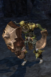 Evil spirit guard