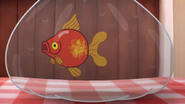 El primer Darwin.png