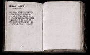 Insane book japanese