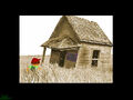 Thumbnail for version as of 15:42, January 31, 2010