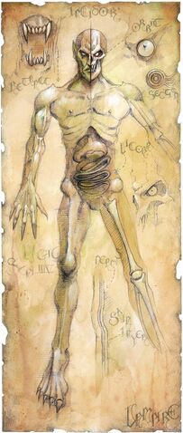File:Undead Physiology.jpg