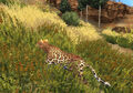 Thumbnail for version as of 18:40, November 29, 2009