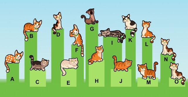 File:Cat examples.jpg