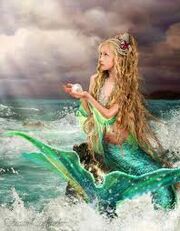 Shona 2