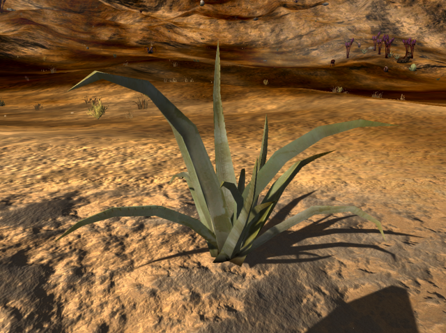 Файл:Aloe Vera.png
