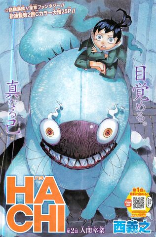 File:Hachi.jpg