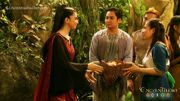 Pirena distributing Food