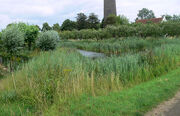E.V.A. LanxmeeLagunage2009