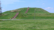 Monks mound in july
