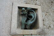 Ear