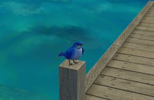 Blue bird