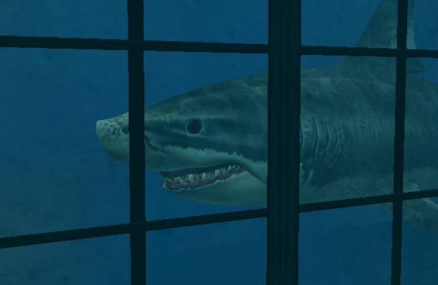 endless ocean wiki shark endless ocean wiki shark