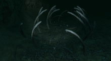 Whalebone Chasm 1