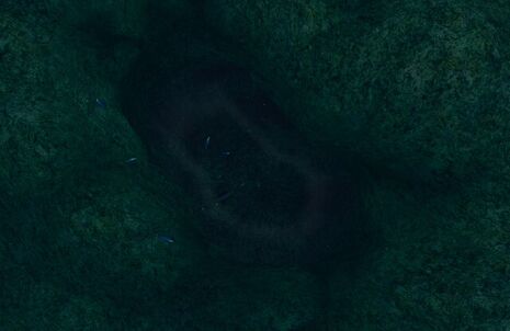 Serpent's Lair