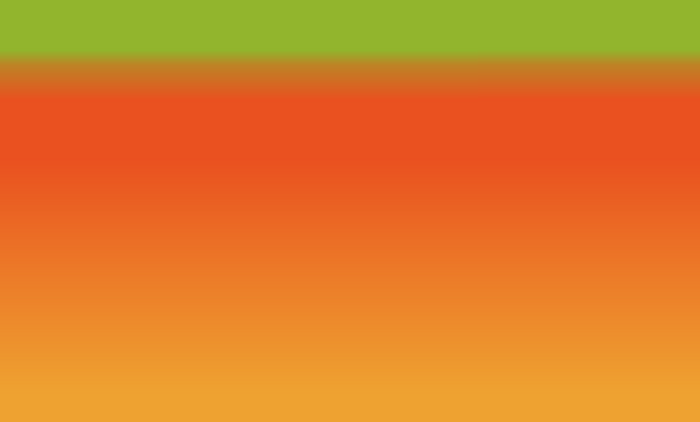 File:Endurancewikibg.png